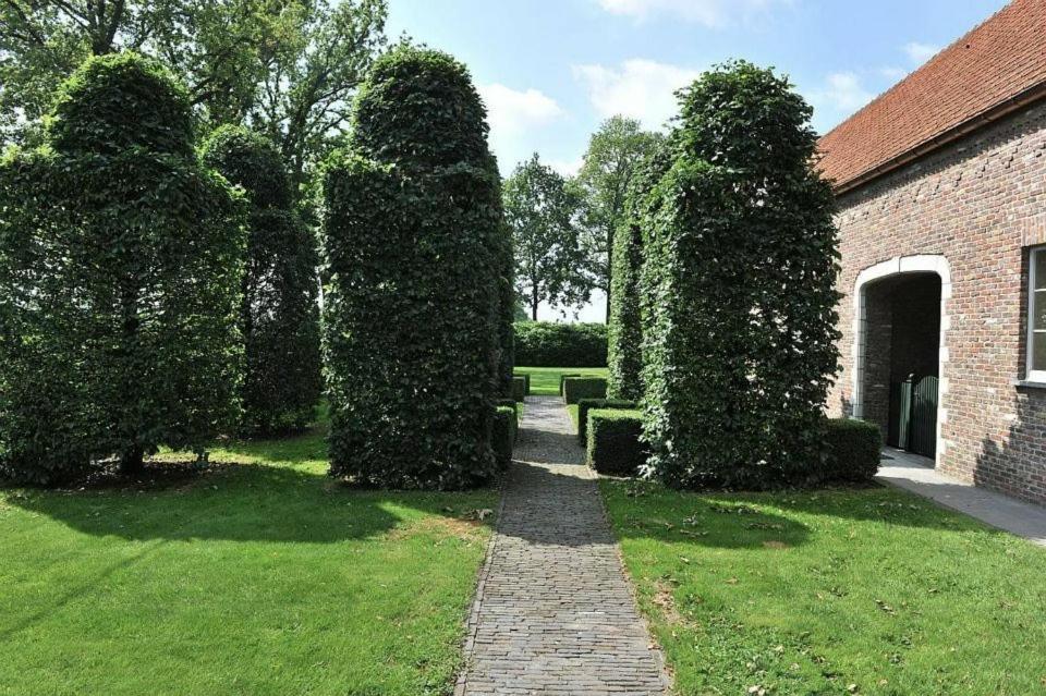 Villa71 Rijkevorsel エクステリア 写真