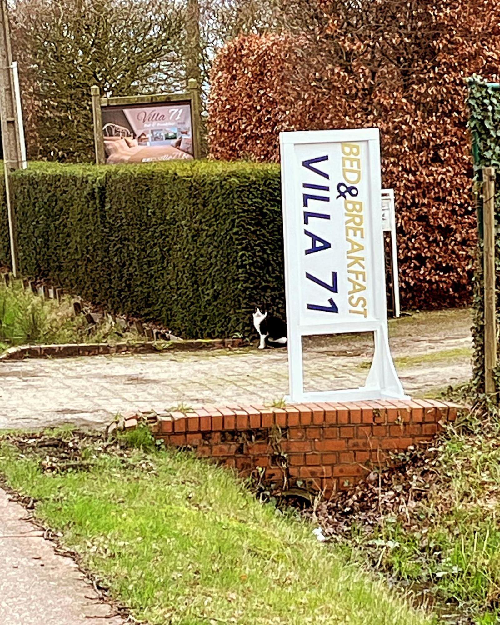 Villa71 Rijkevorsel エクステリア 写真